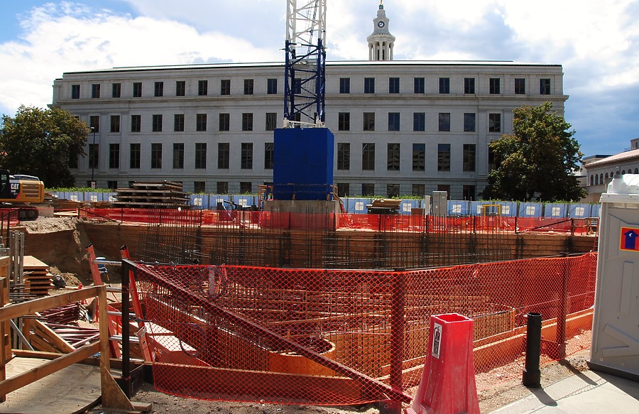 Populus by Brian LoBue