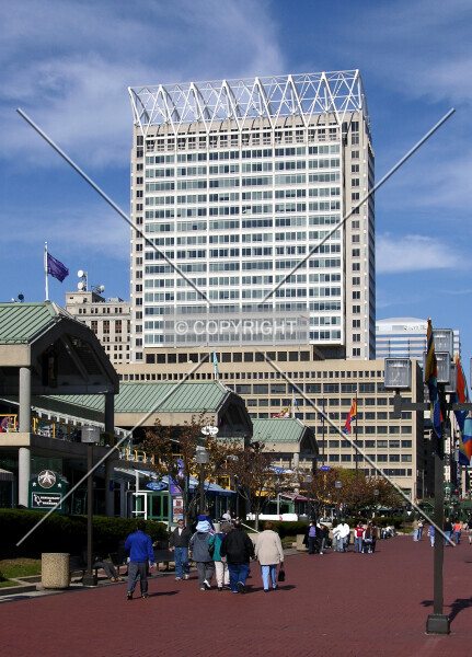 100-799-873