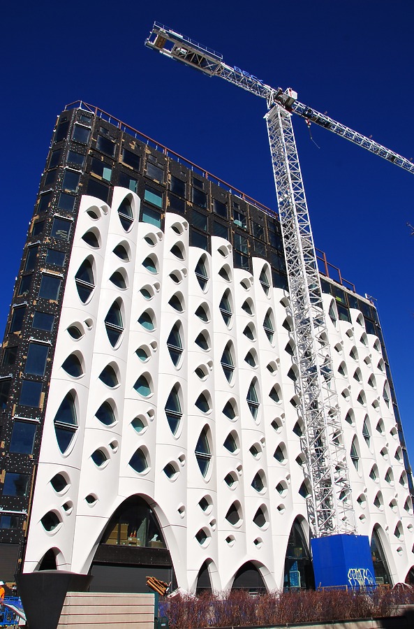 Populus by Brian LoBue