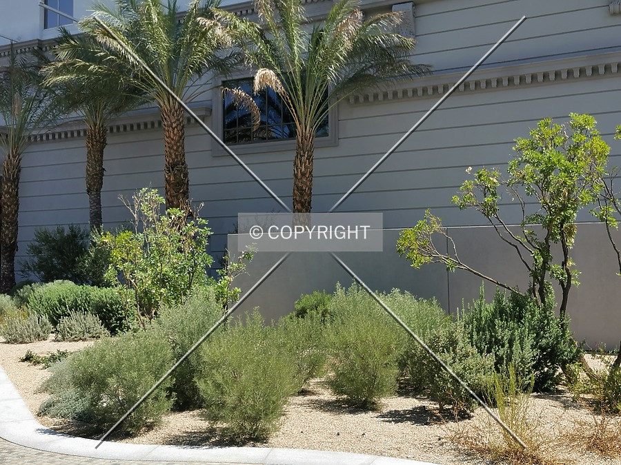 Park MGM by Nephilim