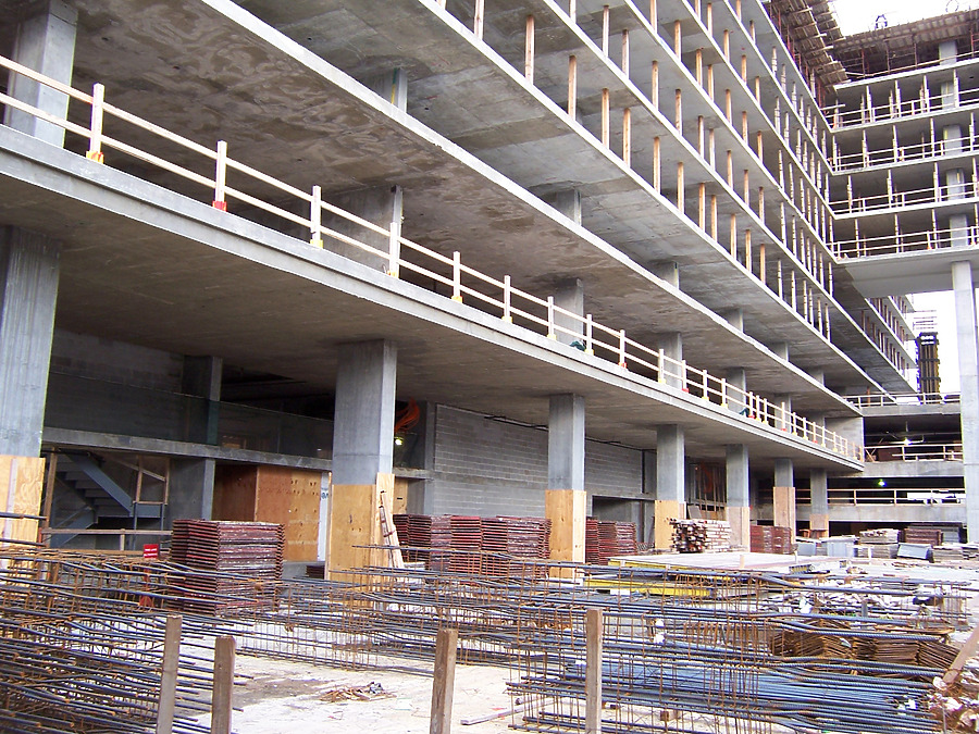 Optima Old Orchard Woods by Shawn Ursini