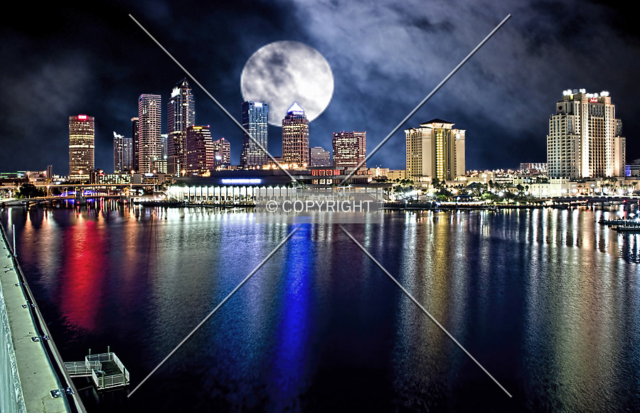 100 North Tampa by Jorge Molina