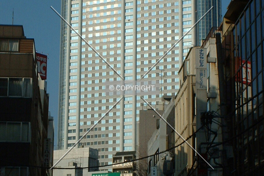 Tokyo Dome Hotel