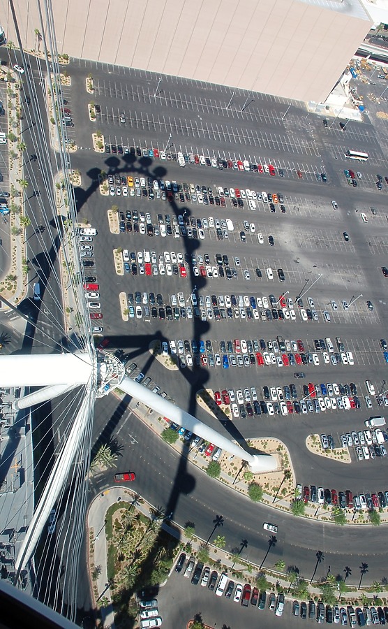 High Roller by Brian LoBue