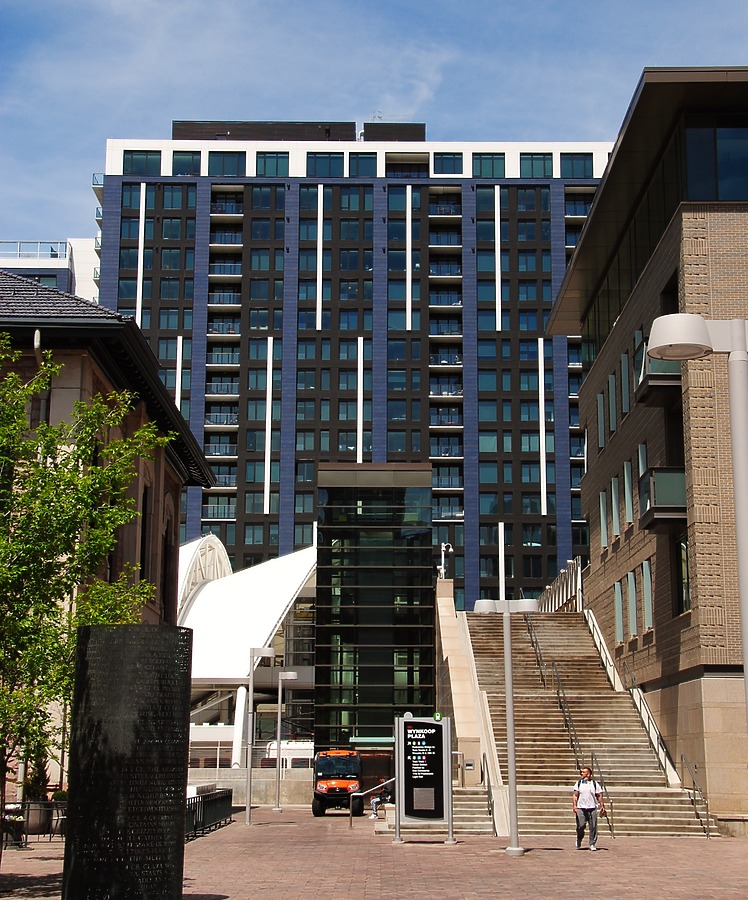 The Coloradan by Brian LoBue