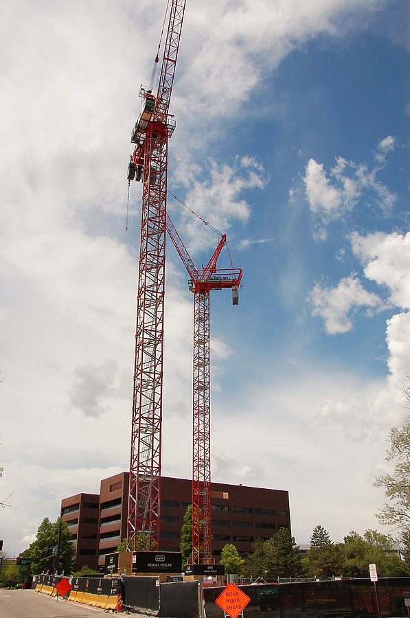 50 Fifty DTC by Brian LoBue