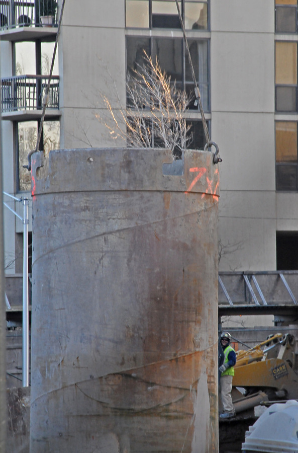 Lincoln Park 2550 by Shawn Ursini