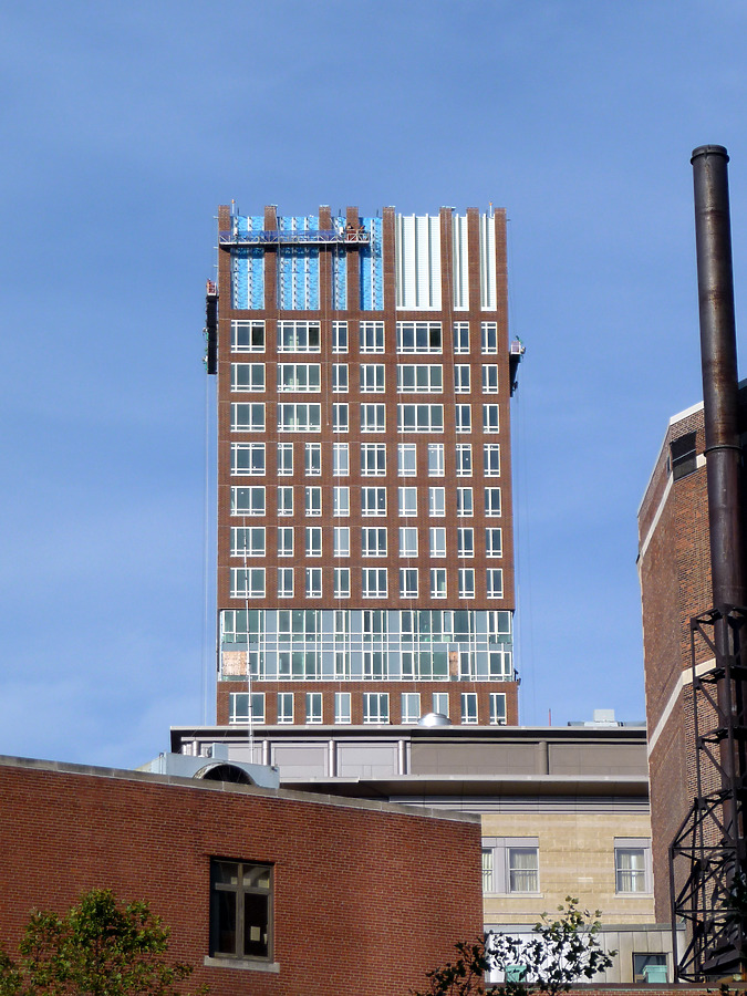 The Clarendon by Nate Lindsey