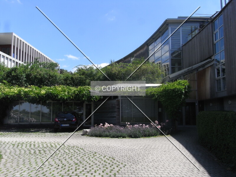 Collegienhaus