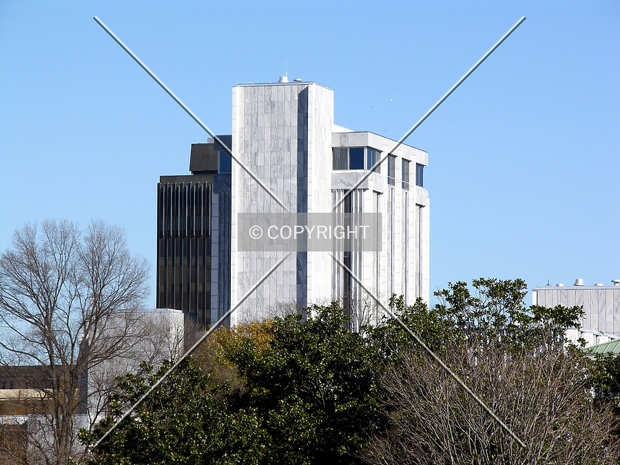 Municipal Building by Chris Patriarca