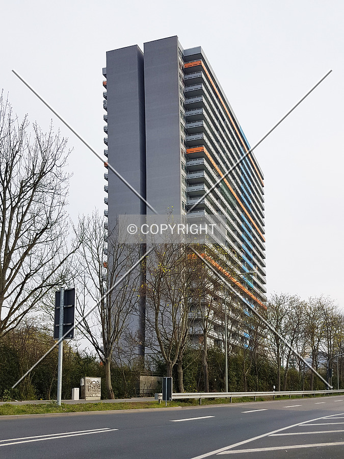 Panorama by Nephilim