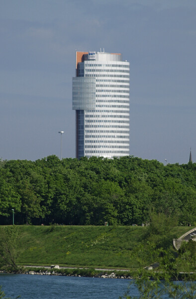 119-081-310