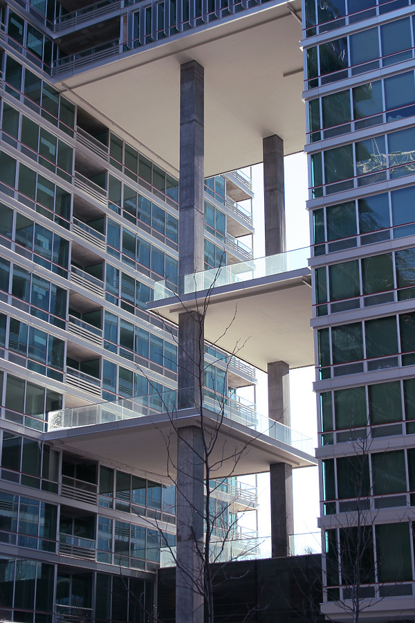 Optima Old Orchard Woods by Daniel Kieckhefer