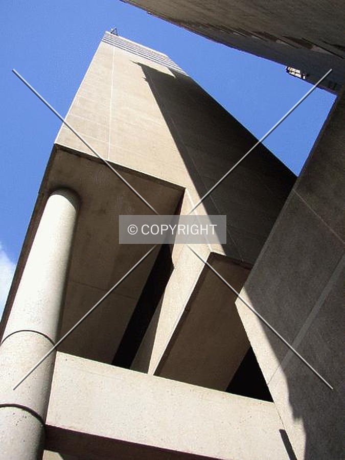 Palmetto Center by Chris Patriarca