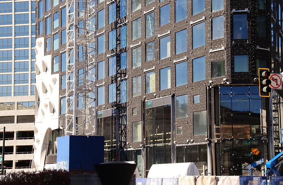 Populus by Brian LoBue