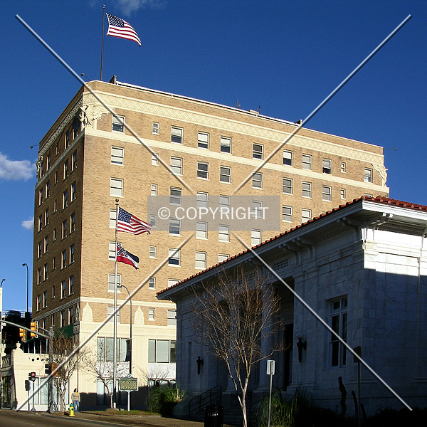 Forrest Hotel by Chris Patriarca