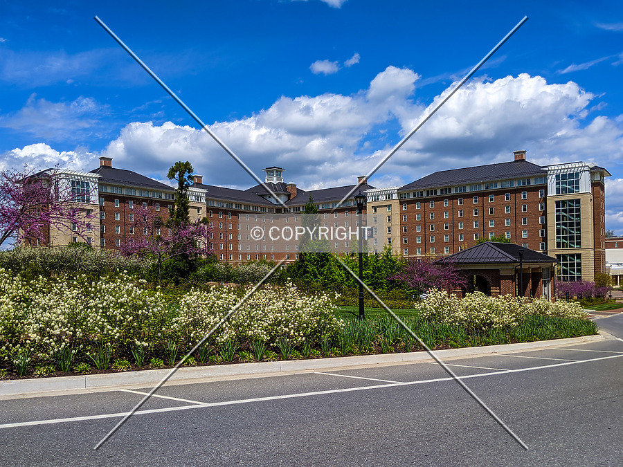 Residential Commons 1 by Chris Patriarca