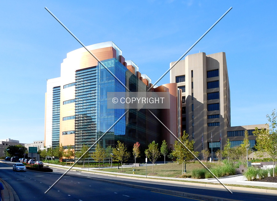 Montgomery County Courthouse by Chris Patriarca