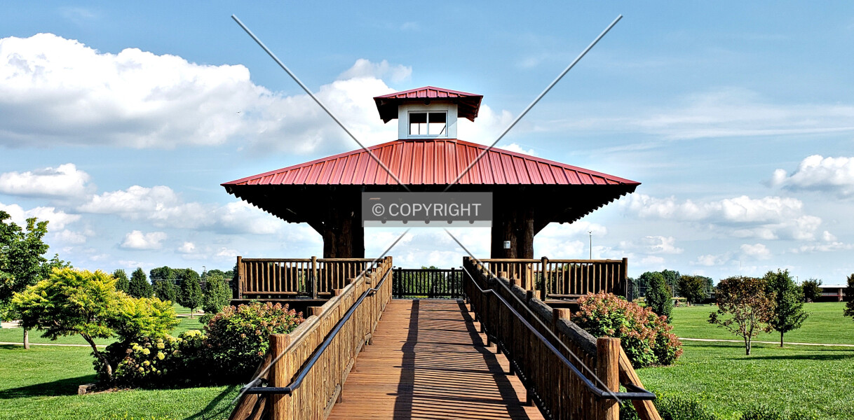Treeless Treehouse