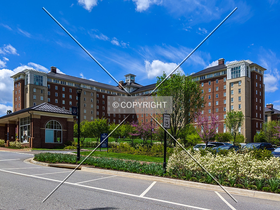 Residential Commons 2 by Chris Patriarca