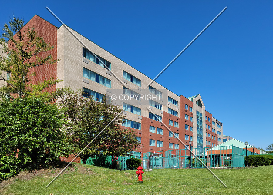 Elimwood Hotel by Ryan Hildebrand