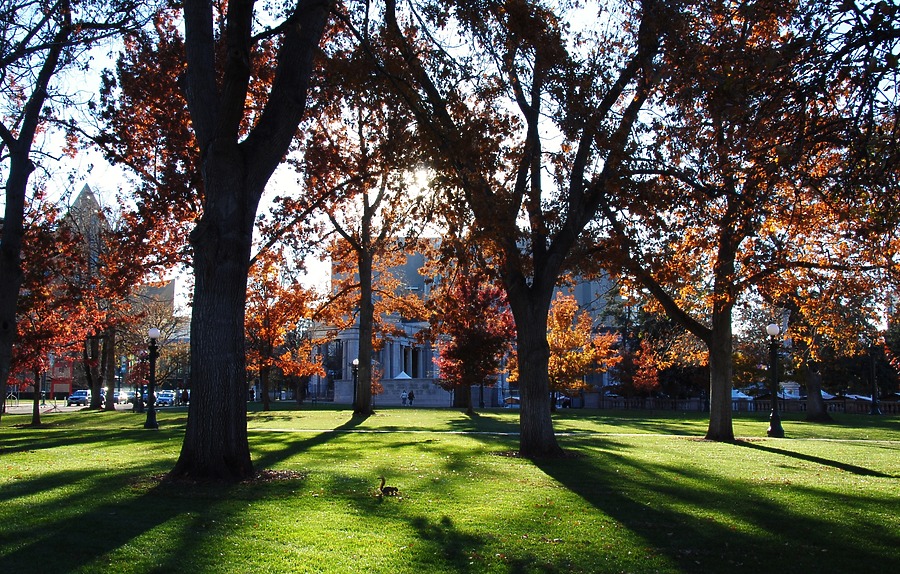 Ralph L. Carr Colorado Judicial Center by Brian LoBue