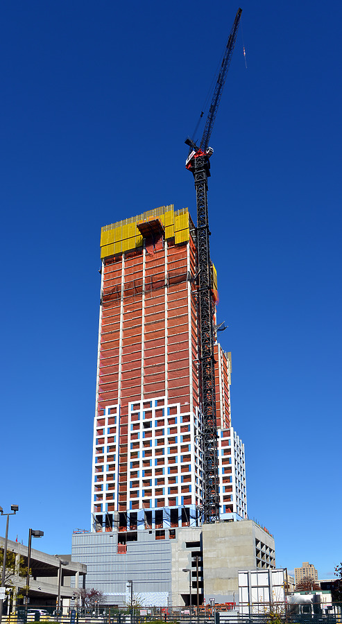 Journal Squared 3 by John W. Cahill