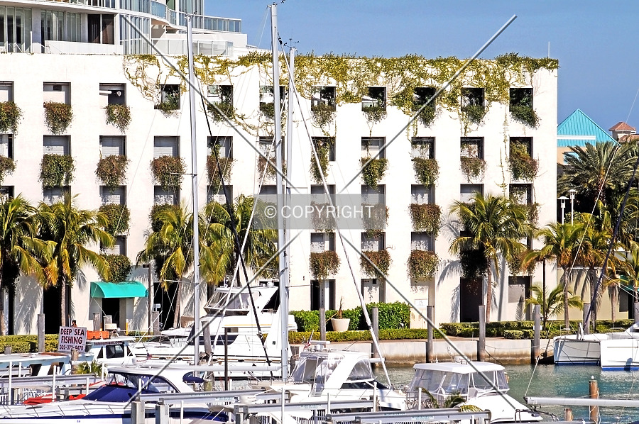 ICON at South Beach by Jorge Molina