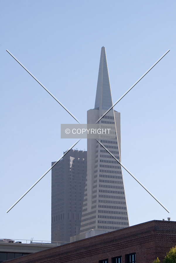 Transamerica Pyramid by Martin Bugajski