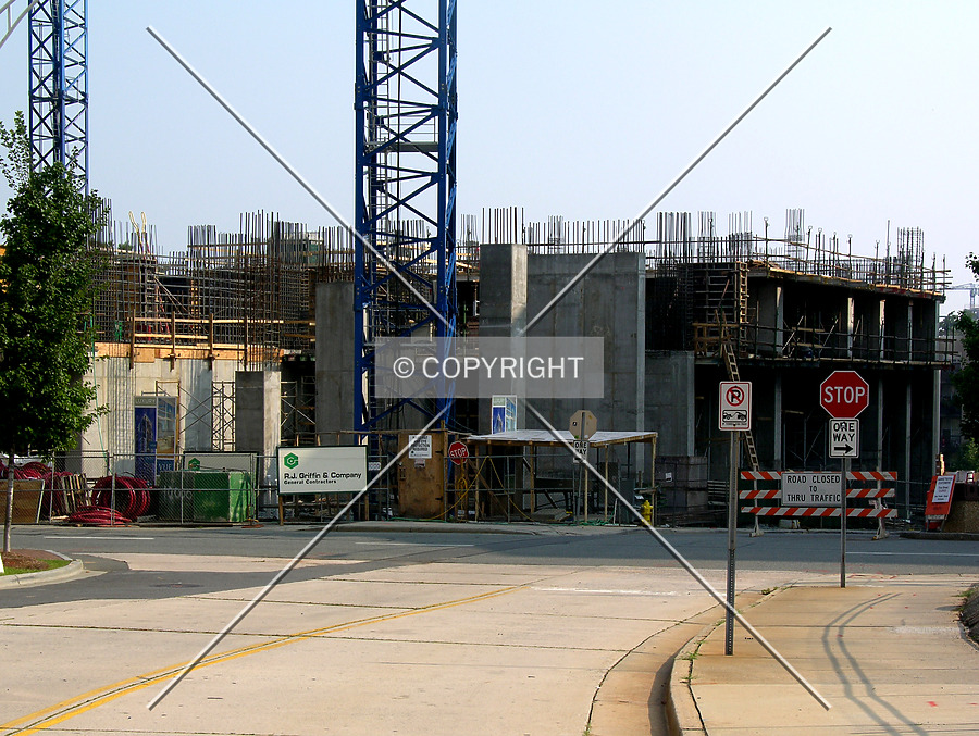 The Vue by Chris Patriarca