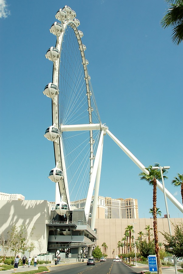 High Roller by Brian LoBue