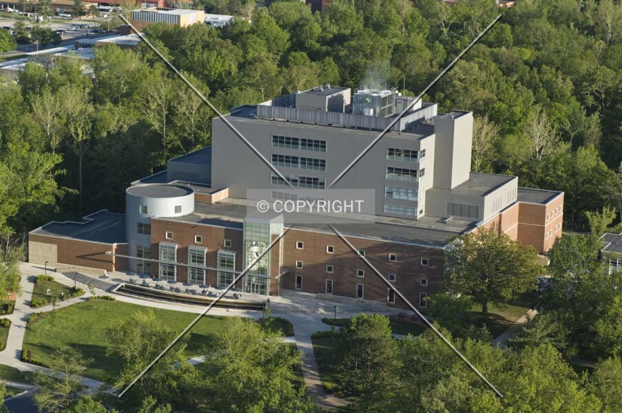 Morris Library