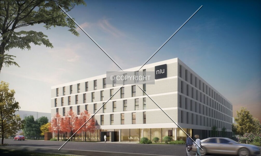 niu Timber
