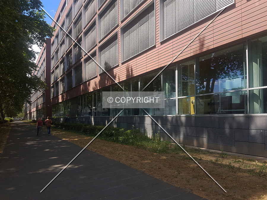 Allianz-Kai by Nephilim