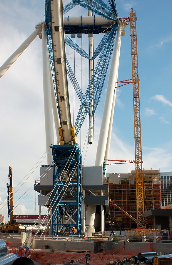 High Roller by Brian LoBue