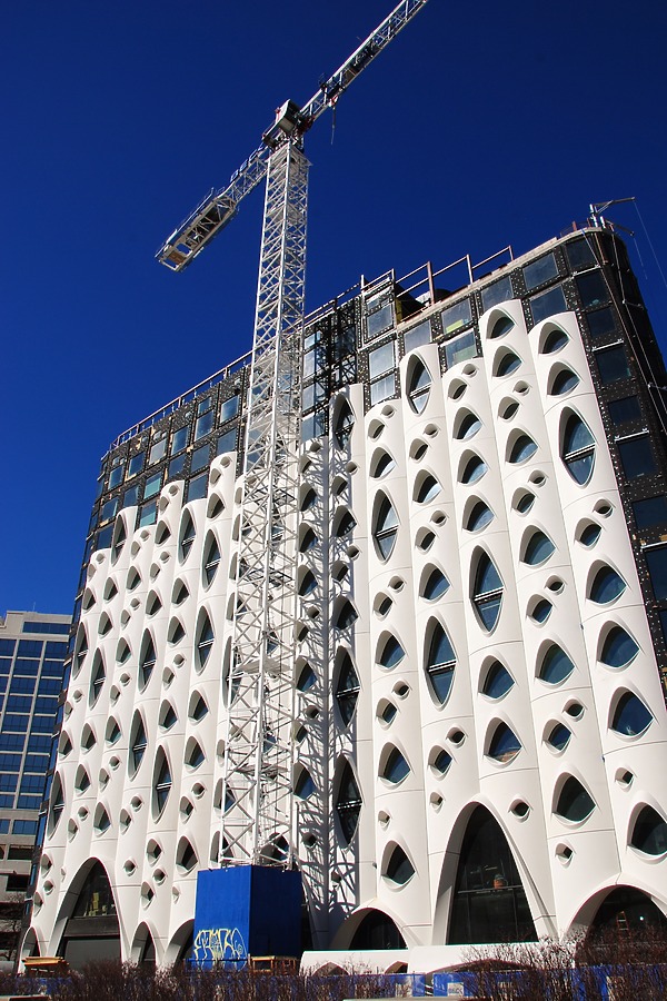 Populus by Brian LoBue