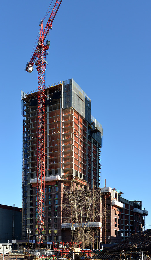 The One by John W. Cahill