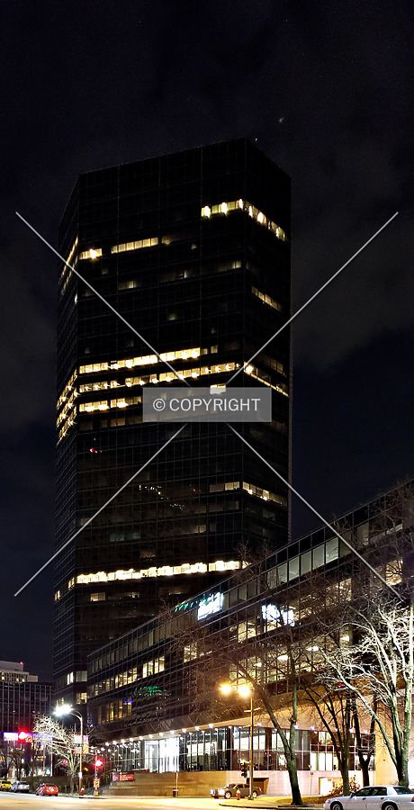 One Bank of America Plaza by Ryan Hildebrand