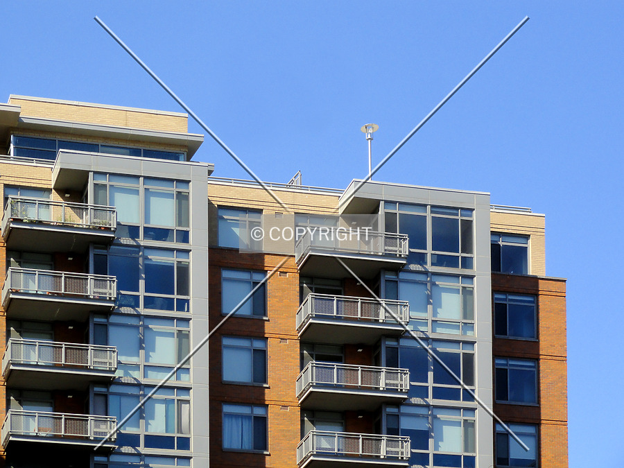 The Cameron by Chris Patriarca