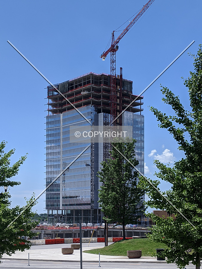 Amazon Tower I by Chris Patriarca