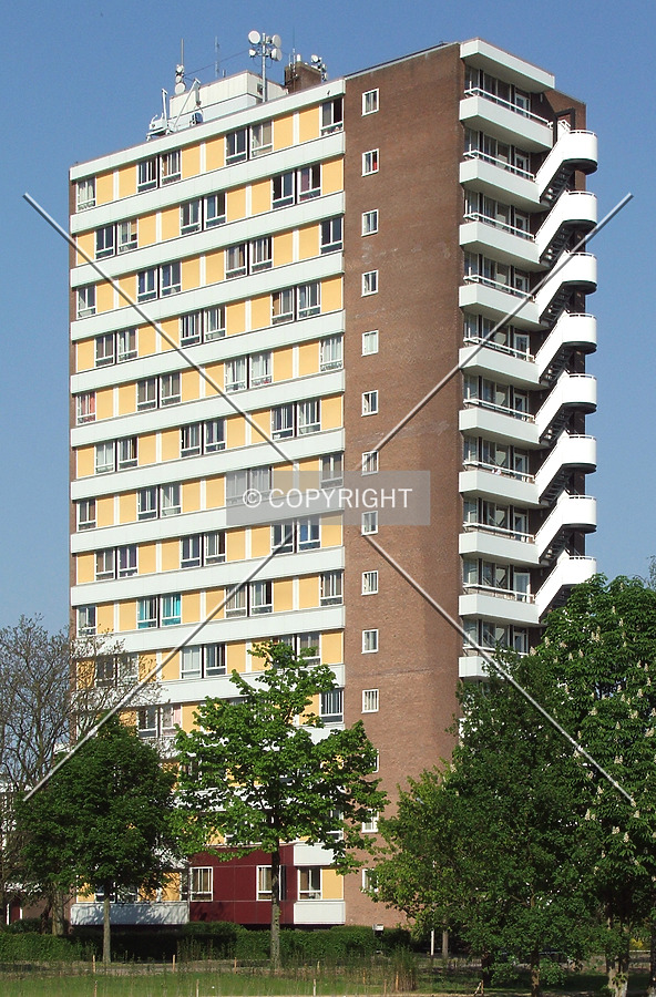 SSHN Galgenveld by René Hogendijk