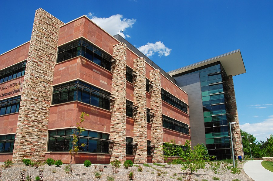 CSU Health & Medical Center by Brian LoBue