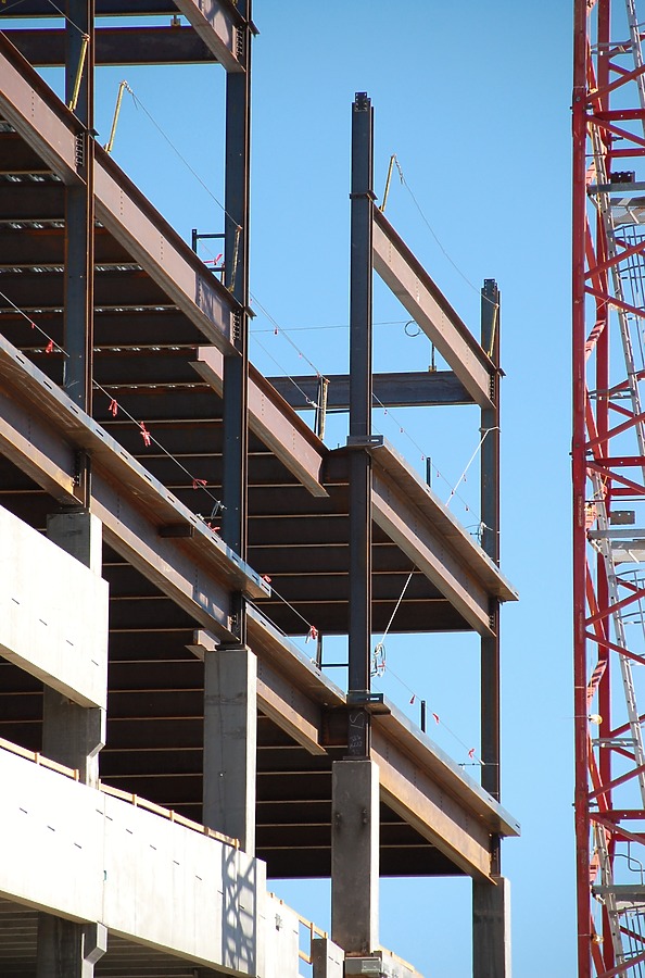 50 Fifty DTC by Brian LoBue