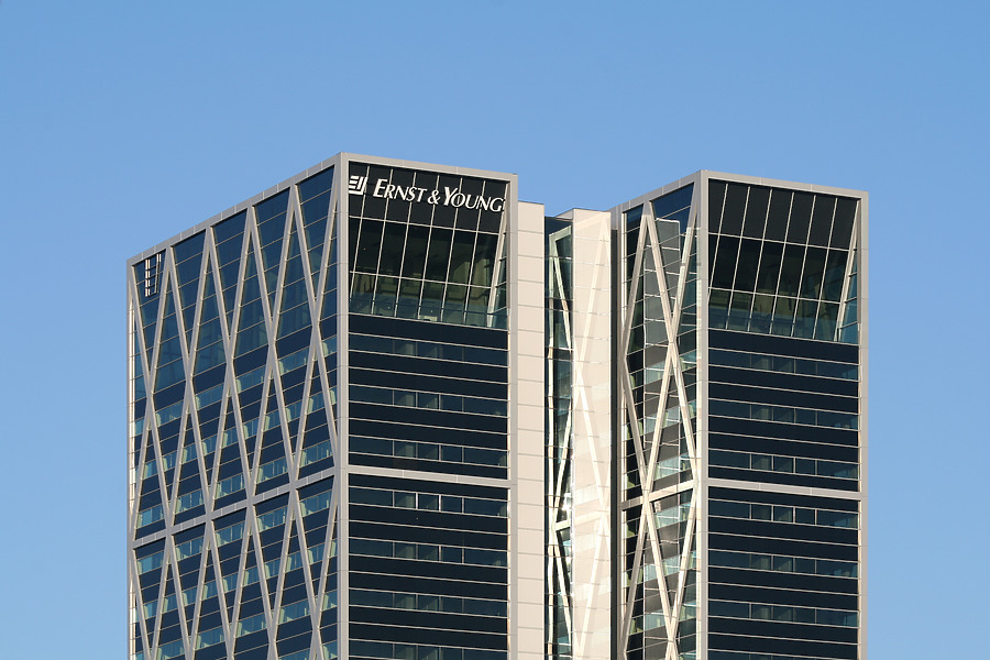 Ernst & Young by Michiel van Dijk