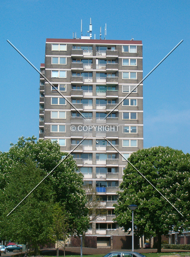 De Jeker by René Hogendijk