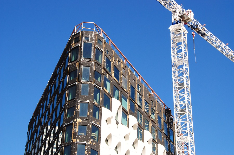 Populus by Brian LoBue