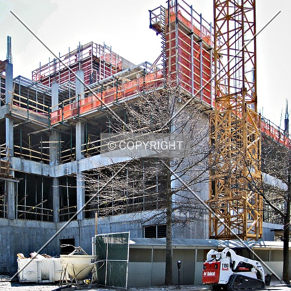 Maryland Walk by Ryan Hildebrand