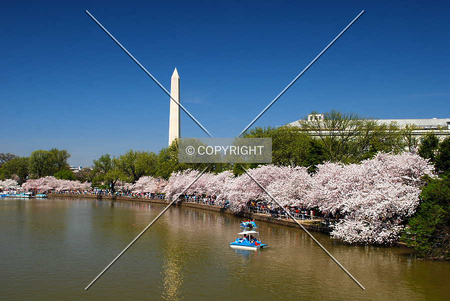 Washington Monument by Royce Douglas