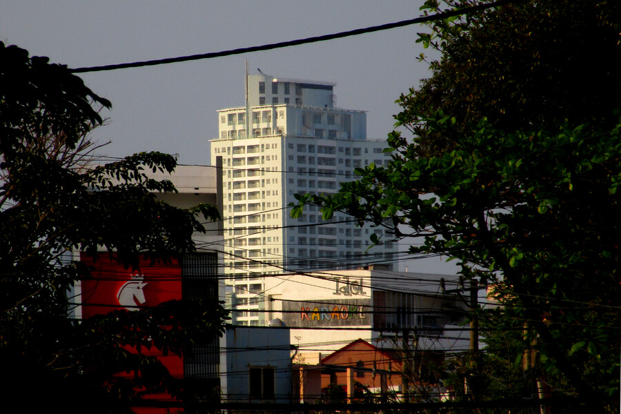 Blooming Towers A