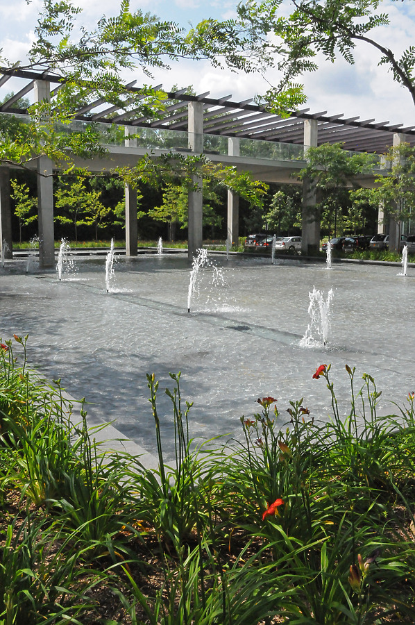 Optima Old Orchard Woods by Shawn Ursini